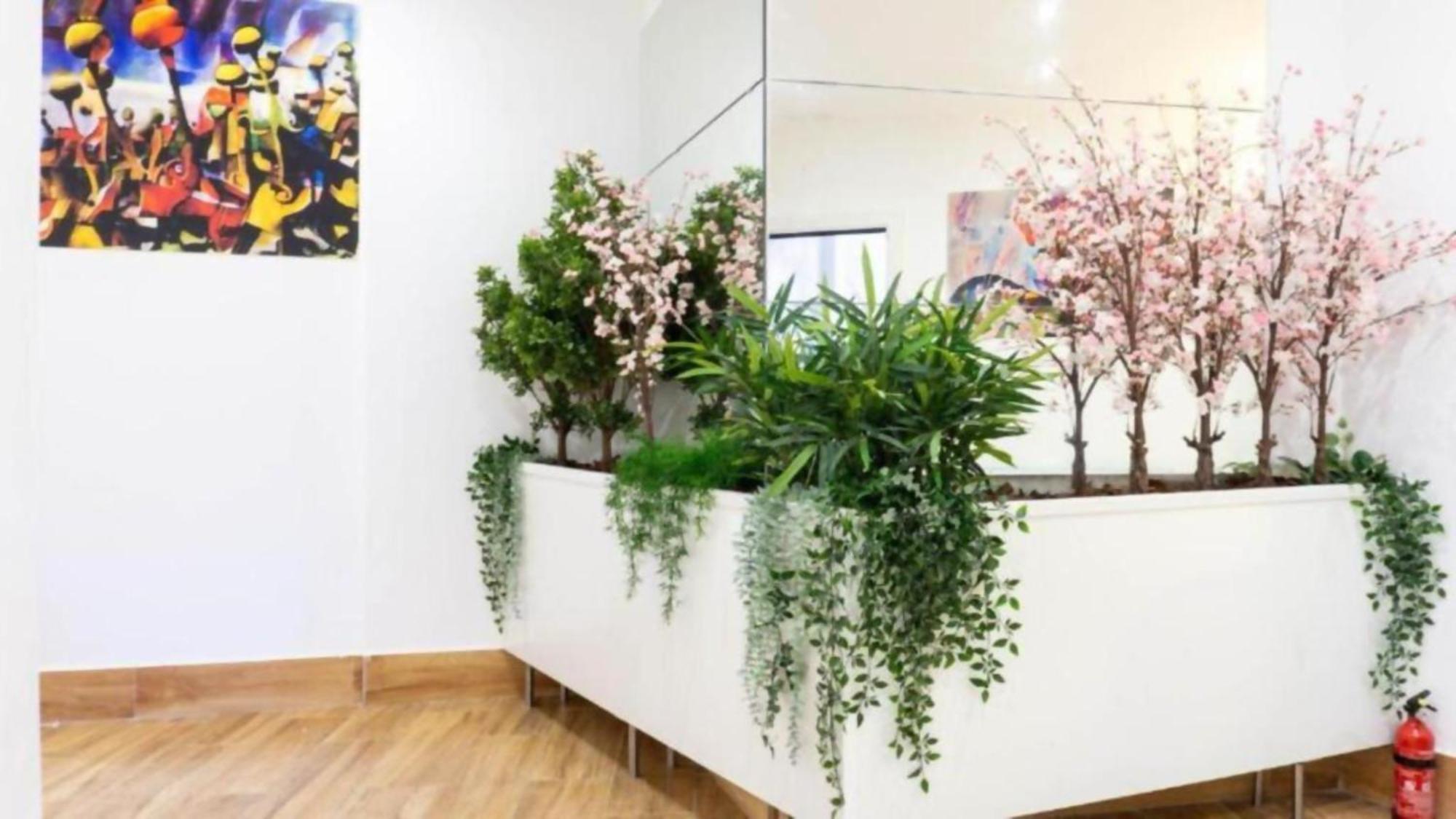 Ilustre Rooms Malaga Ngoại thất bức ảnh